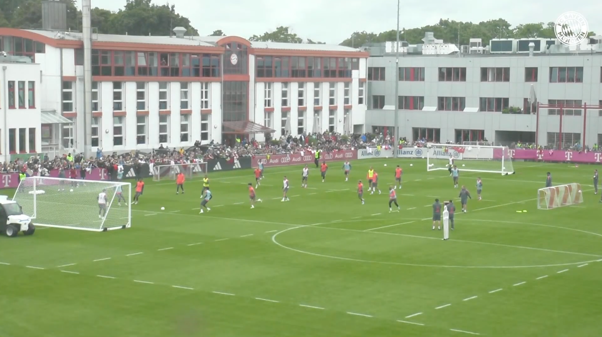 MÁS Training (16/11/25)